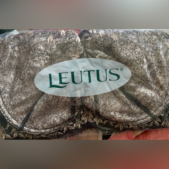 NEW Leutus Women's Lace Embroidery Push Up Bra 38D 36D Black Sheer Underwire - Picture 1 of 5